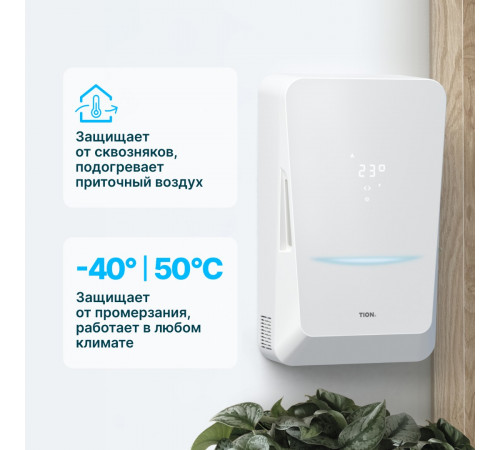 TION Бризер Bio X Standard