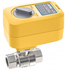 Шаровой кран с электроприводом Neptun PROFI 12В 1 1/4"