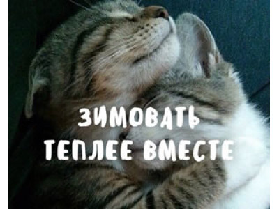 Пришла зима!