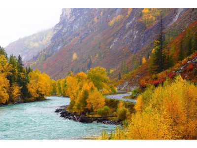 Золотая осень в Горном Алтае – совершенный отдых!
