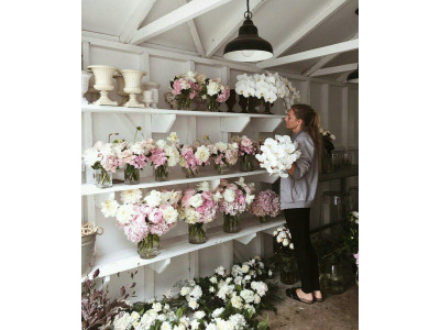 Холодильное оборудование для владельцев цветочных павильонов в Санкт-Петербурге и Ленинградской области.