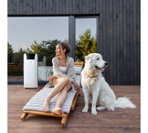 Мобильный кондиционер Electrolux EACM-07 RK/N6