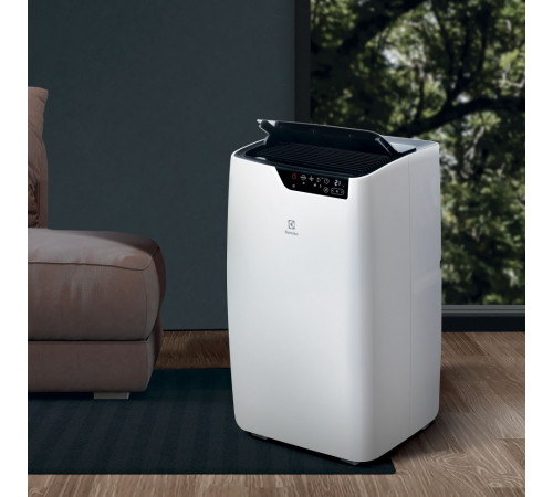 Мобильный кондиционер Electrolux EACM-09 GT/N6