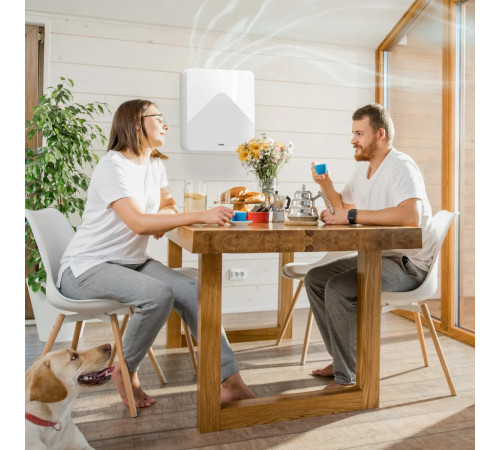 TION Бризер 4S Family