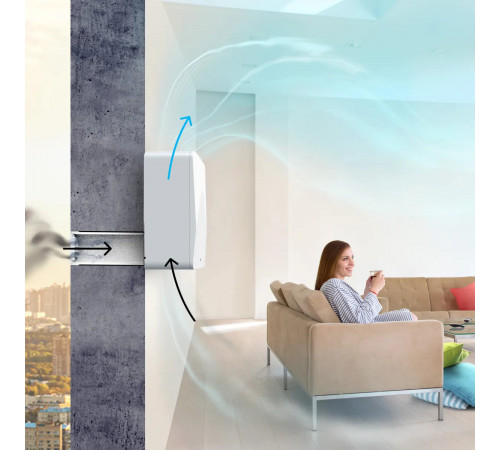 TION Бризер 4S Plus