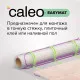 Нагревательный мат CALEO EASYMAT 140 Вт/м2 2,4 м2